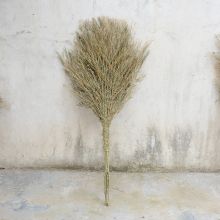 国产 大号扫把 （单位：把）