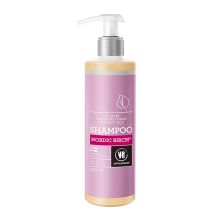 亚缇克兰 Urtekram北欧桦树洗发露干性发质 250ml 单位：瓶