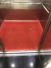 齐心 1.6*1.4M 家用地毯 红色(单位：张）