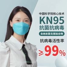 国产 KN95 口罩10只/盒（单位：只）