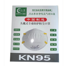 川小李 9008 ^ 防尘口罩KN95 头戴式