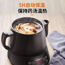九阳 3003BQ 3L药膳煲养生壶 黑色（单位：个）