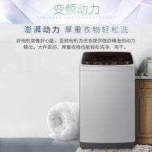 海尔（Haier）EB65M019 6.5公斤 小神童自动洗衣机 白色（包安装含辅材）（单位：台）