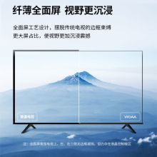 海信 VIDAA 43V1F-R 43英寸全高清电视 (单位：台）