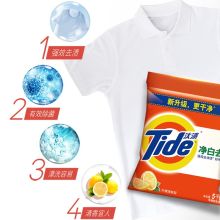 汰渍 Tide 净白去渍洗衣粉（柠檬清香）5KG袋装（单位：袋）