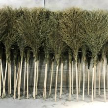 巧彩格 扫把工厂车间专用环卫竹马路大 户外庭院大扫帚 （单位：把）