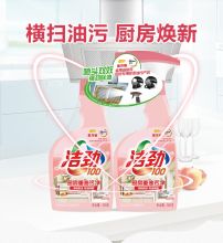 洁劲100 除菌厨房除油污清洁剂500g*2（单位：组）
