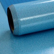 天泽旺 T12-2 ^ PVC塑胶地板 1.0mm(厚)X2m(宽)X20m(长)
