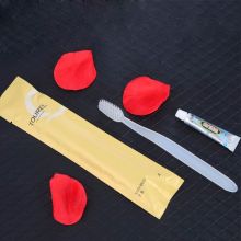 两面针 酒店一次性牙刷牙膏套装（100套装） 单位:箱