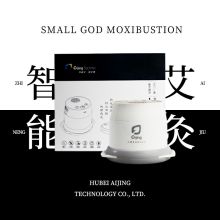 艾菁 AJ032 艾菁小神灸智能艾灸仪 白色（单位：个）