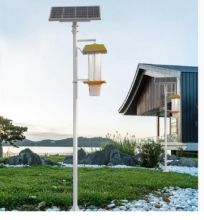 国产 50W 220v 黑光灯 （单位：个)